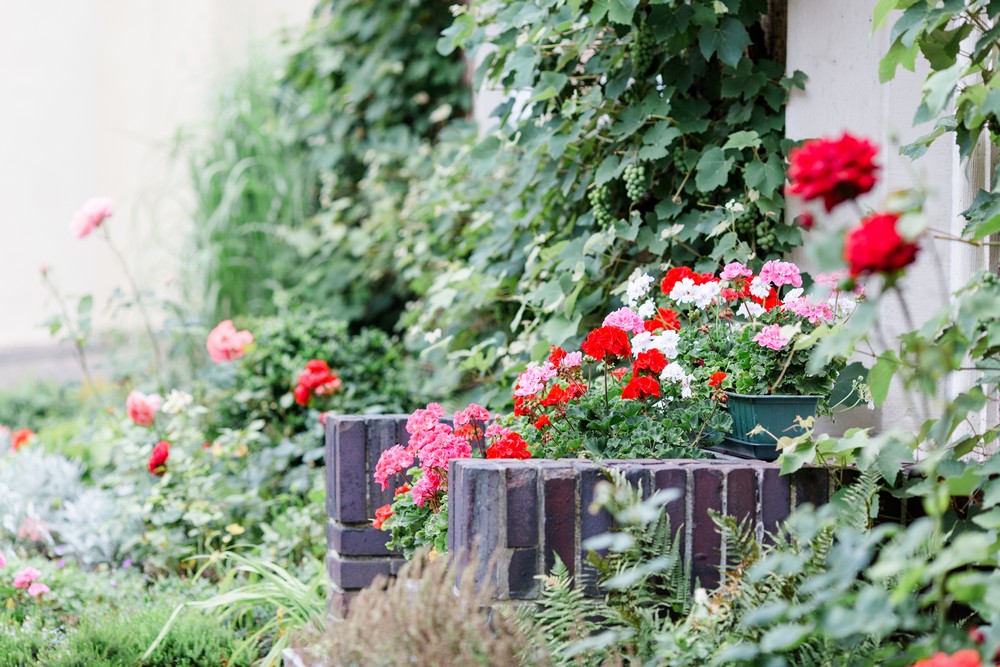 Hochzeitsfotograf in Minden und Rinteln!